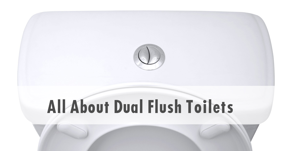 dual-flush-toilet-guide